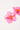 Token Petal Flower Earrings Pink